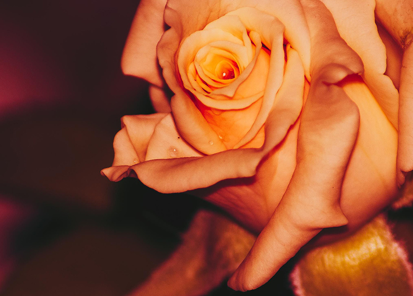 Ethiopia Guji Hambela Buleye